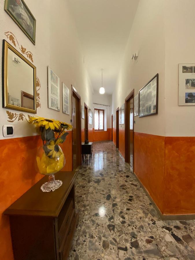 Bed And Breakfast Da Antonio - 奥尔戈索洛 外观 照片