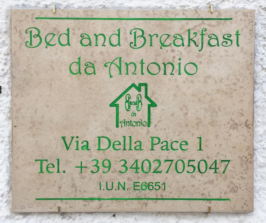 Bed And Breakfast Da Antonio - 奥尔戈索洛 外观 照片