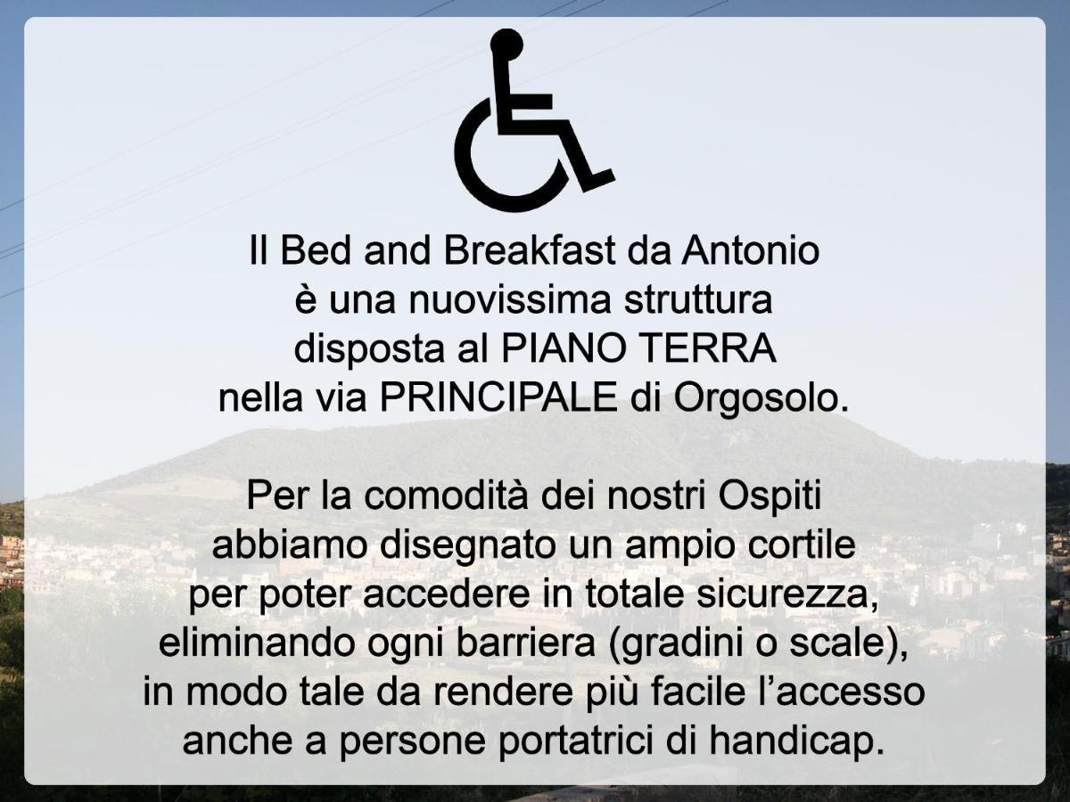 Bed And Breakfast Da Antonio - 奥尔戈索洛 外观 照片