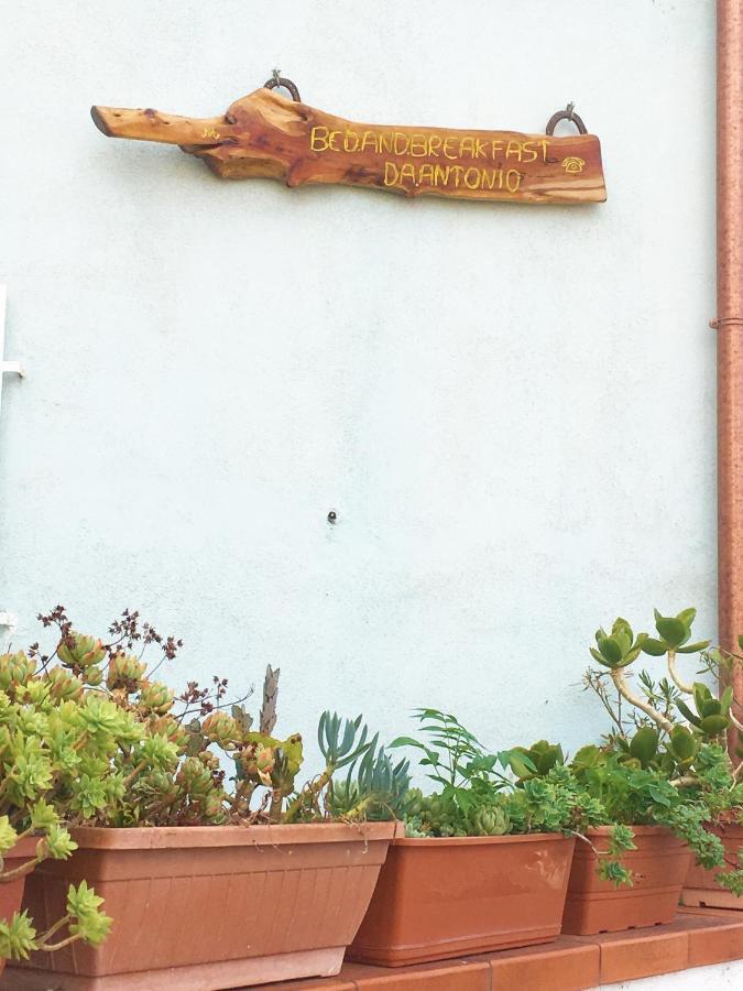 Bed And Breakfast Da Antonio - 奥尔戈索洛 外观 照片